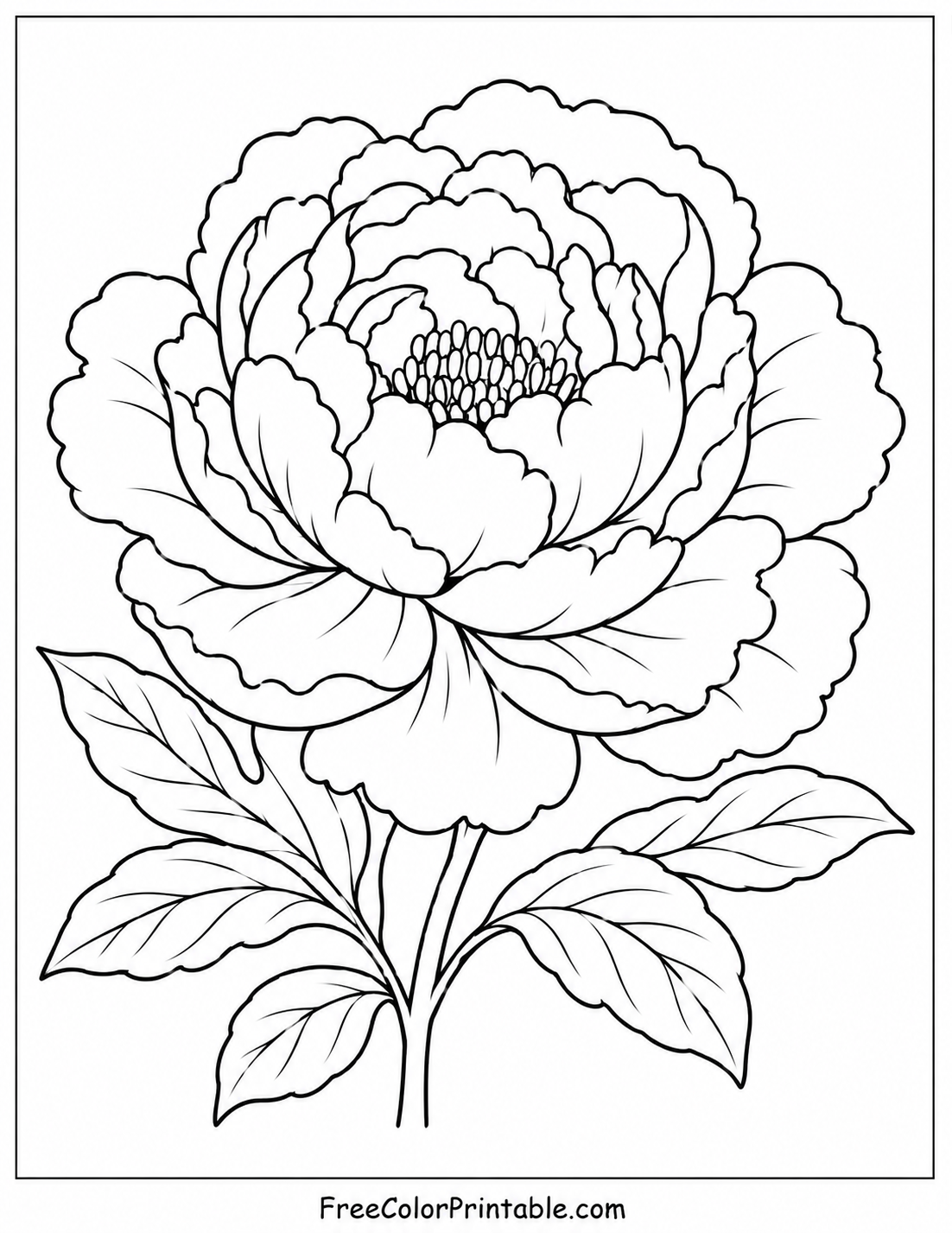 Peony bloom coloring page design Coloring Page — Free Printable — free printable coloring page